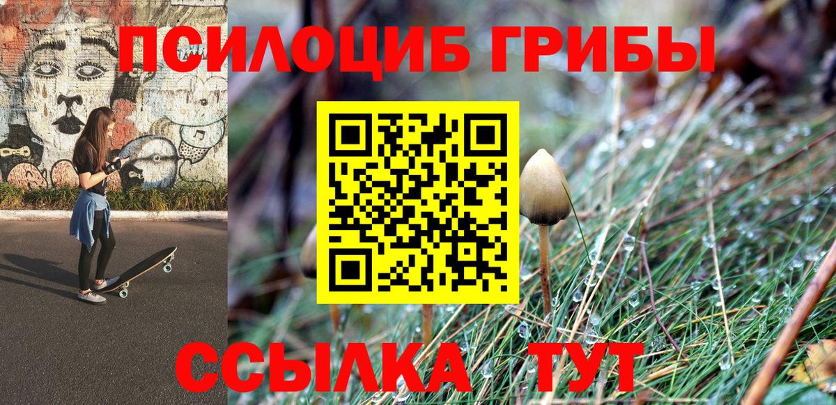 Острогожск  Галлюциногенные грибы мицелий  Вход с VPN 